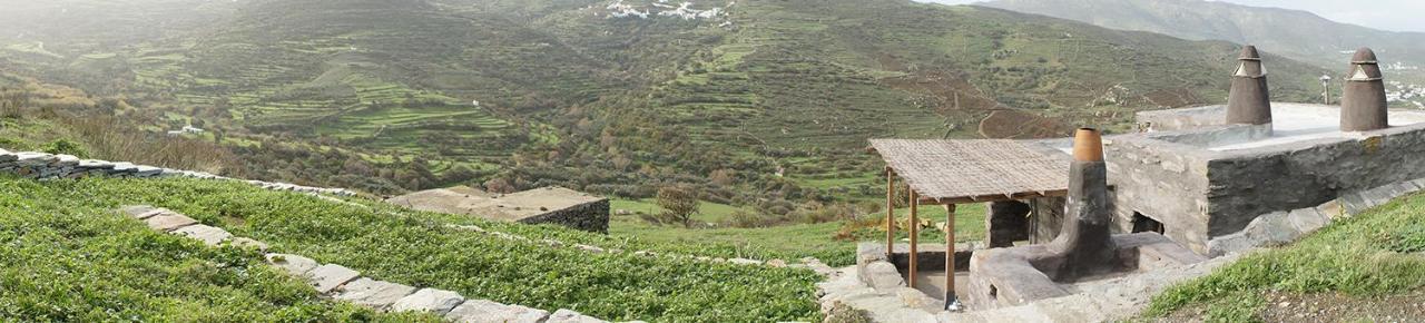 Alonaki Tinos House *